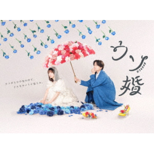 【取寄商品】DVD / 国内TVドラマ / ウソ婚 DVD-BOX (本編ディスク3枚+特典ディスク1枚) / TCED-7169