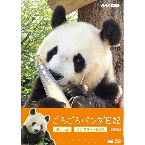 【取寄商品】BD / 趣味教養 / ごろごろパンダ日記 コンプリートBlu-ray BOX(Blu-ray) (通常版) / NSBX-54706｜Ｆｅｌｉｓｔａ玉光堂