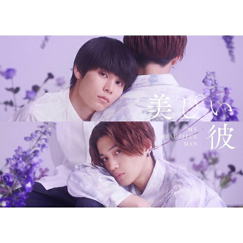 【取寄商品】DVD / 国内TVドラマ / 美しい彼 シーズン2 & ～special edit version～ DVD-BOX (本編ディスク2枚+特典ディスク1枚) / TCED-7028｜Ｆｅｌｉｓｔａ玉光堂