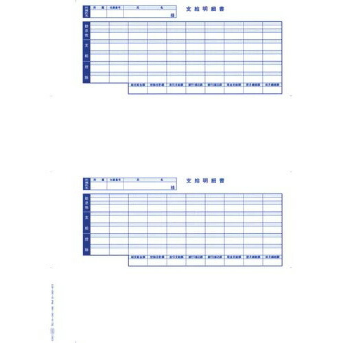 OBC 支給明細書パックシール付 明細書300枚入 封筒300枚入 (OBC) 16,044円