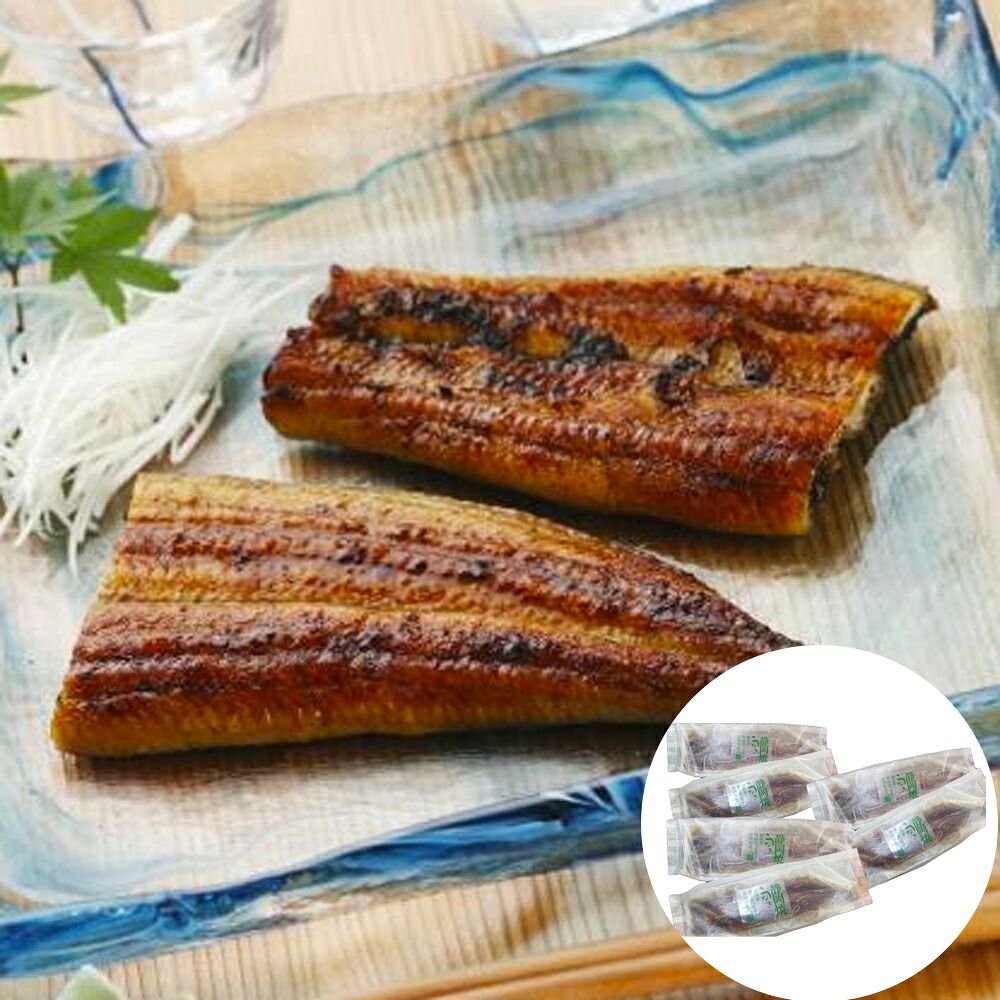 ふっくら肉厚 職人が丁寧に焼き上げた 静岡 静岡焼きうなぎ 120g×6|オアシス商事