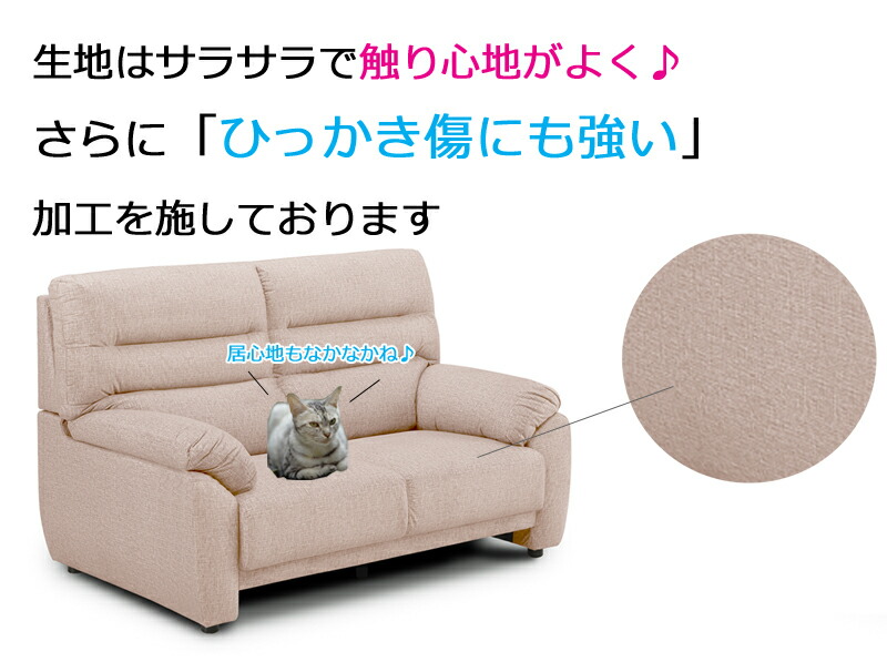 犬 猫ちゃんのひっかき傷に強いソファ 空前絶後のペットブームの救世主 もうソファをボロボロにされる心配なし 布張り 傷につよい加工 2p 2人掛け Gtn 01 送料無料 Deerfieldtwpportage Com