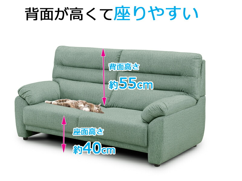 犬 猫ちゃんのひっかき傷に強いソファ 空前絶後のペットブームの救世主 もうソファをボロボロにされる心配なし 布張り 傷につよい加工 2p 2人掛け Gtn 01 送料無料 Deerfieldtwpportage Com