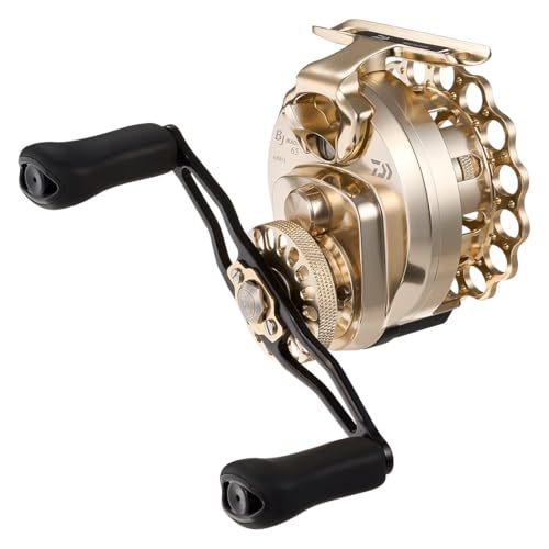 ダイワ(DAIWA) イカダリール ２５ＢＪイカダ６５