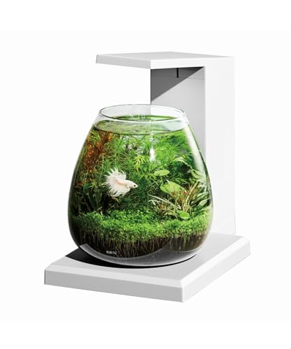 GEX AQUARIUM グラスアクア PERCO T-WH オールインワン水槽 インテリア 水槽セット 水換え簡単 コンパクト水槽 約6L ホ