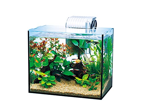 楽天市場】テトラ (Tetra) ガラス 水槽 オールグラスアクアリウム GA