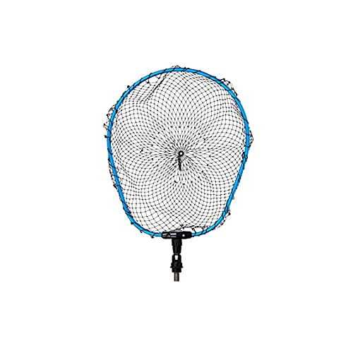 ダイワ(DAIWA) ランディングネットFL35 ブルー