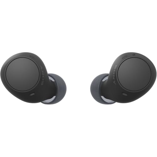 ソニー(SONY) 完全ワイヤレスイヤホン WF-C510 / 軽量小型4.6g / 高精度通話品質/外音取り込み対応/マルチポイント対応 /