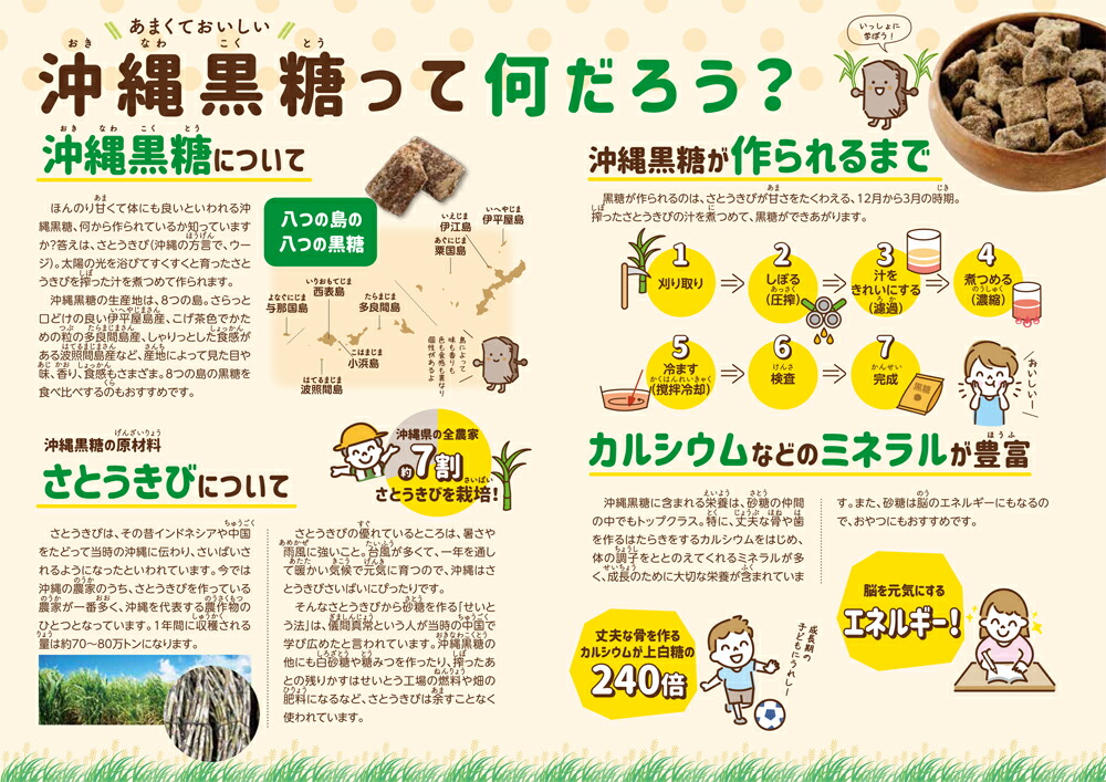 波照間島の黒糖 200g×2袋 日本最南端の有人島 波照間島の純黒糖 送料無料 【新発売】