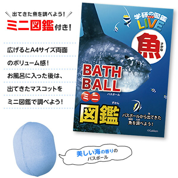 楽天市場 学研の図鑑ライブ 魚バスボール 魚 海の生き物 知育 学習 イベント パーティー 装飾 飾り 誕生日 バースデー お祝い デコレーション 21f03 フェスティバルプラザ