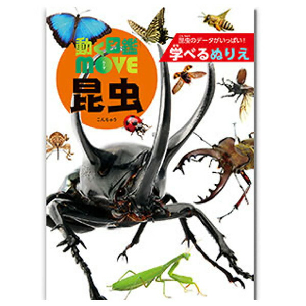 楽天市場 トーヨー 動く図鑑 Move 昆虫 B5 ぬりえ 新入学文具 塗り絵 学習 知育 虫 文具 室内遊び 412 j30 フェスティバルプラザ