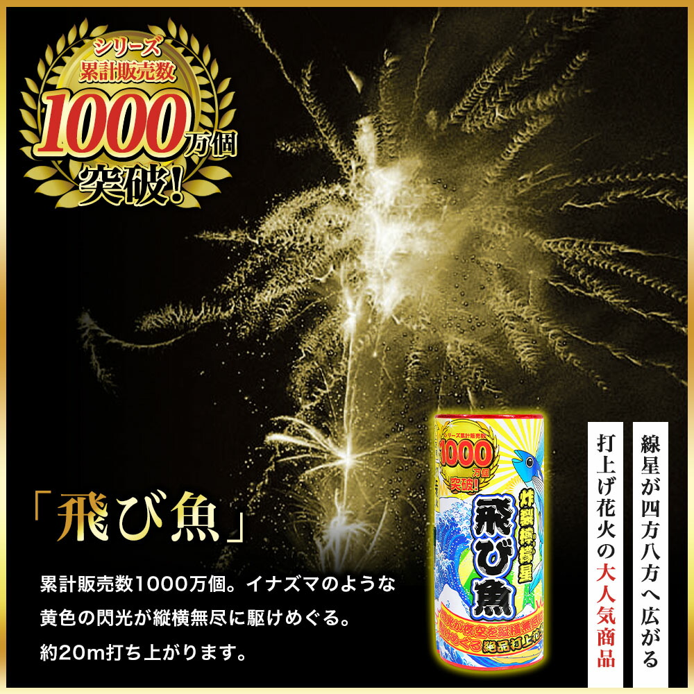 送料無料 花火 3~5人用 20個 22G04 ※沖縄 セット 不思議メガネ 付き 打ち上げ花火セット 極み 特選花火 花火セット 離島発送不可  最新コレックション セット