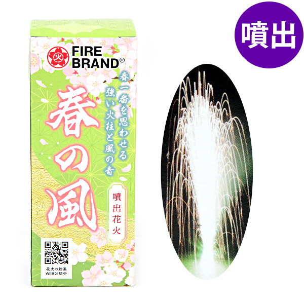 花火さん専用 8163ZsCaOeL._UF350,350_QL50_.jpg