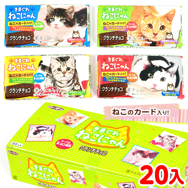 袋入 １個装２粒入 世界の猫チョコレートボール 500g 約150入 駄菓子 ねこ ネコ かわいい にゃんにゃん ニャンニャン 子供会 景品 お祭り 縁日1 296円 キャンペーンもお見逃しなく