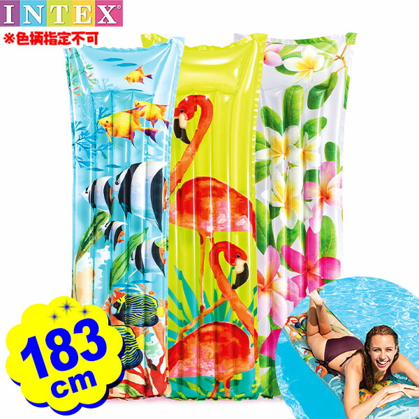 楽天市場】インテックス フロート オレンジスライス マット 58763 幅178×高さ85cm INTEX { 浮き輪 大きい 水遊び フルーツ  ビーチボート 海の家 }{ かわいい ビーチ 海 オレンジ インスタ映え 海 川 プール }902[22G25]{あす楽 配送区分Ｄ} :  フェスティバルプラザ