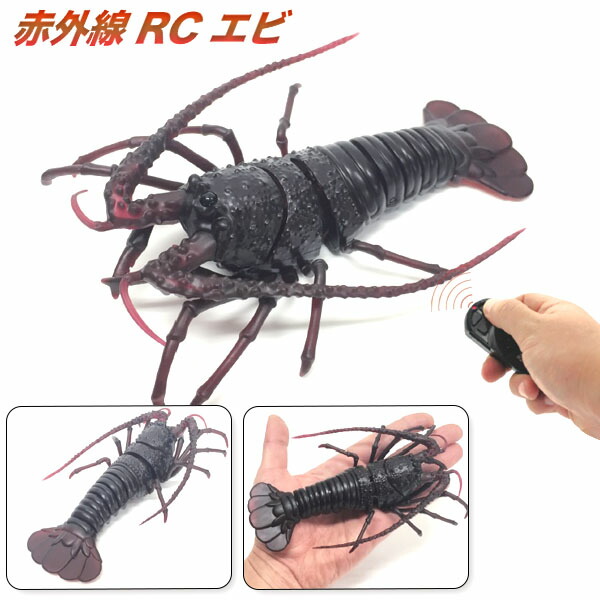 赤外線 Rc エビ 景品玩具 ラジコン プレゼント ギフト お祝い 男の子 生きもの エビ えび 海老 伊勢海老 ロブスター おもちゃ オモチャ 玩具 21l 限定品