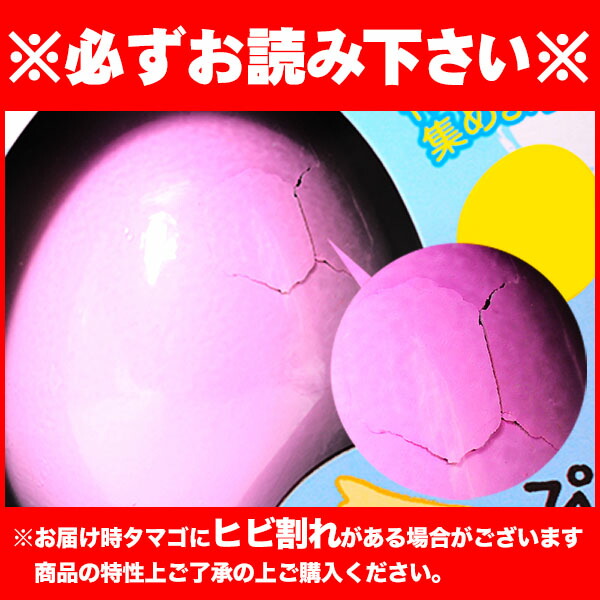 さかなのたまご{玩具 おもちゃ マスコット タマゴ 卵 水 実験 キット 大きくなる おもしろ ギフト 誕生日 子ども会 施設}[子供会 保育園 幼稚園 景品 イベント お祭り プレゼント 人気]