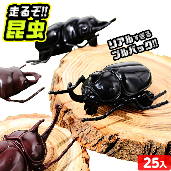楽天市場】走る カブトムシ＆クワガタ 袋入 25個入 { 幼稚園 夏