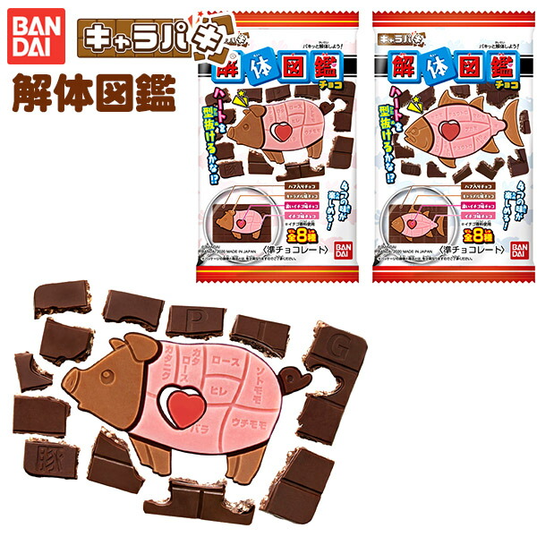 楽天市場 バンダイ キャラパキ 解体図鑑 駄菓子 チョコ チョコレート チョコ菓子 知育 知育菓子 子供会 景品 お祭り くじ引き 縁日 お菓子 個装 個包装 配布 i07 フェスティバルプラザ