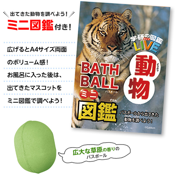 驚きの価格が実現！驚きの価格が実現！学研の図鑑ライブ バスボール