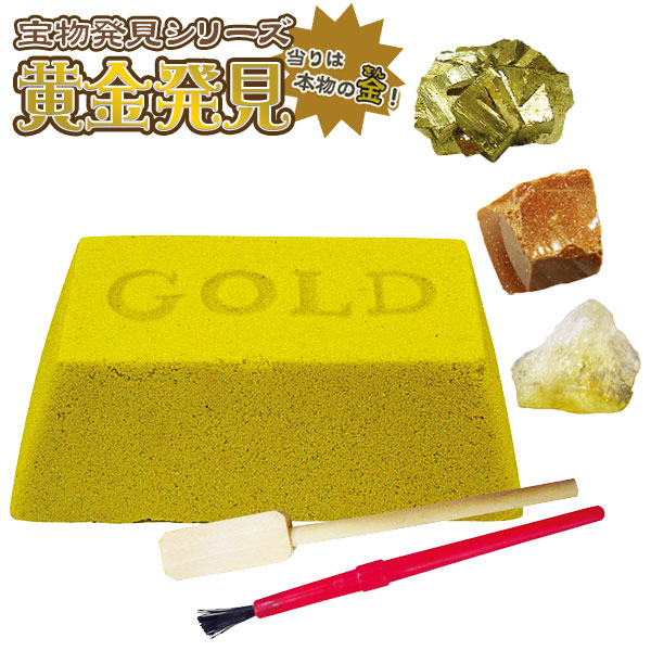 【新品】伝説の宝物発見！14個　黄金発見！5個　19個セット 新品】伝説の宝物発見！14個 黄金発見！5個 19個セット - メルカリ