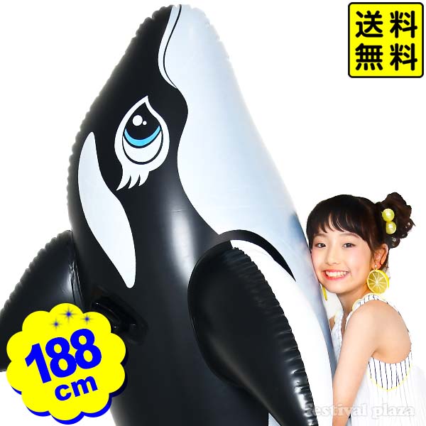 りんページ Amazon.co.jp: INTEX(インテックス) ホエールライドオン 58561