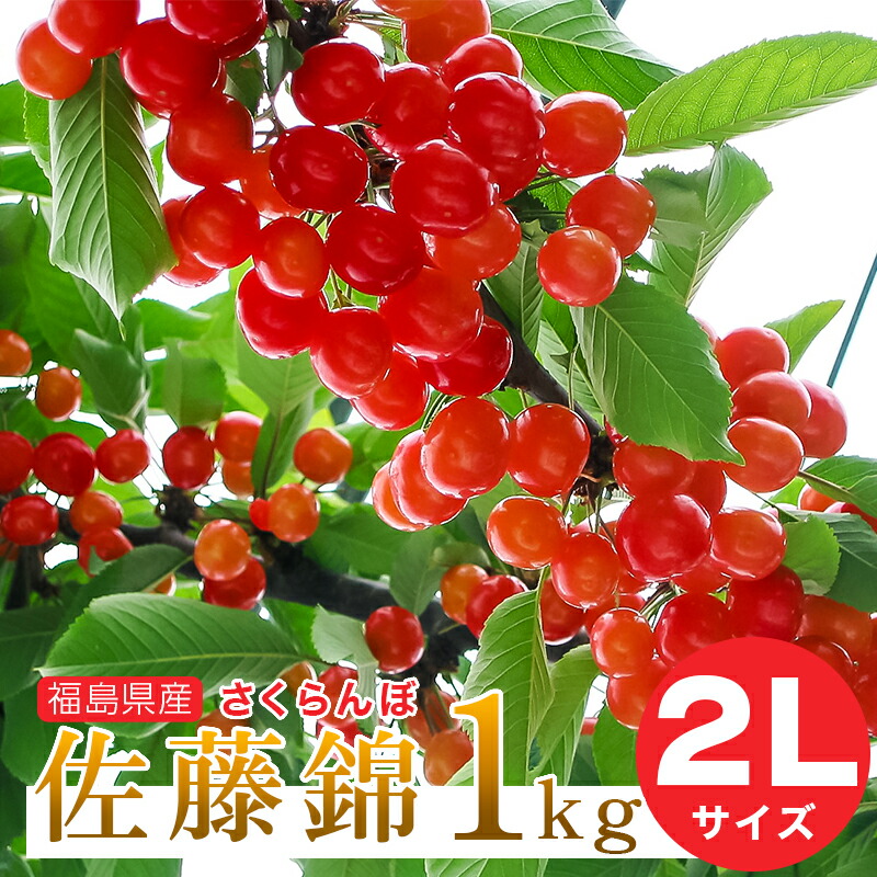 佐藤錦2L1kg【予約注文6月中旬頃から発送】送料無料！福島県産さくらんぼ 佐藤錦 2Lサイズ 1kg バラ詰め ご家庭用 贈答品 ギフト 贈り物 福島県 伊達市産 産地直送 ふくしまプライド