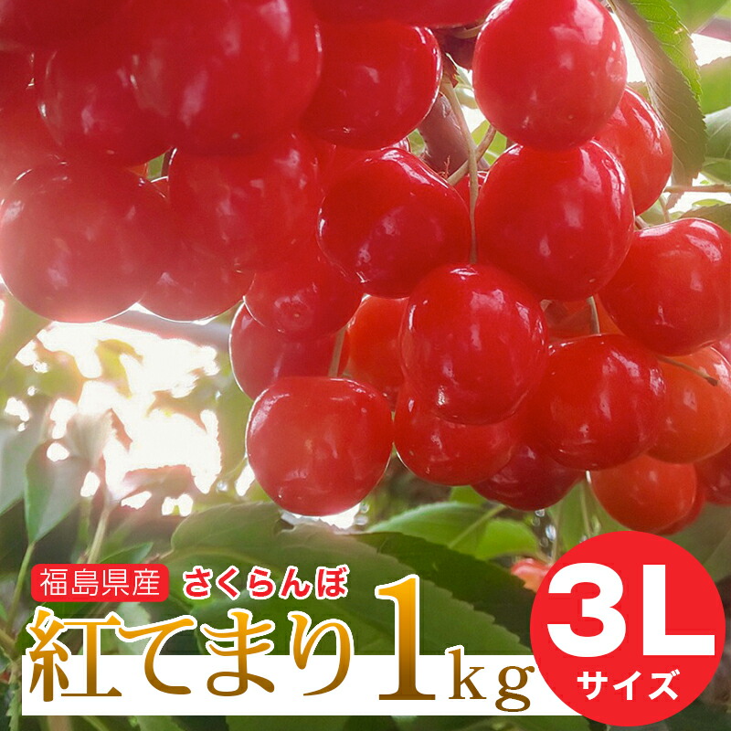 【予約注文6月下旬頃から発送】送料無料！福島県産さくらんぼ 紅てまり 3Lサイズ 1kg バラ詰め ご家庭用 贈答品 ギフト 贈り物 福島県 伊達市産 産地直送 ふくしまプライド