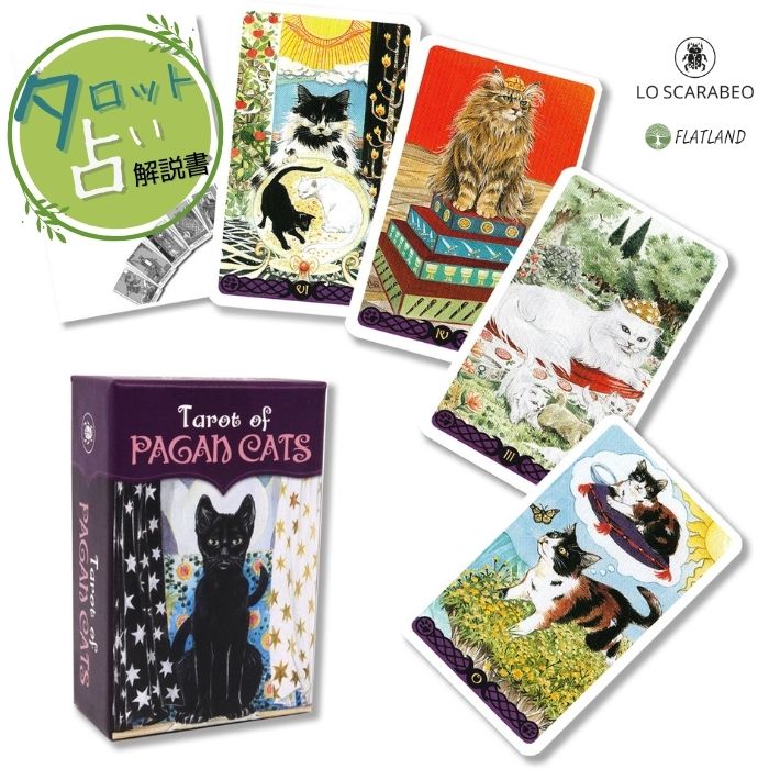 楽天市場】ブラックキャッツ タロット Black Cats Tarot