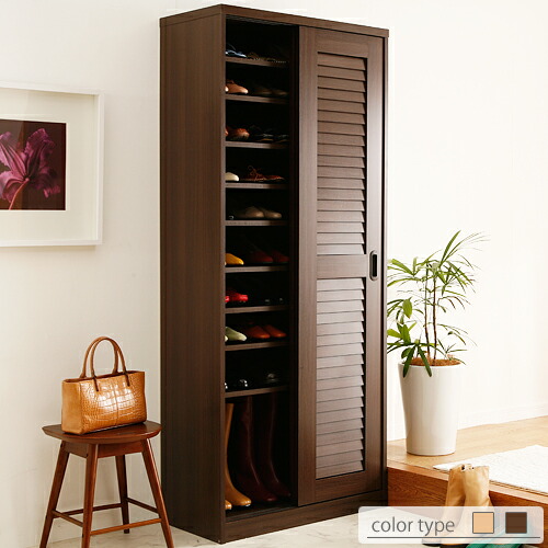 Shoe Storage Cabinets With Doors Minimalist Interior Design