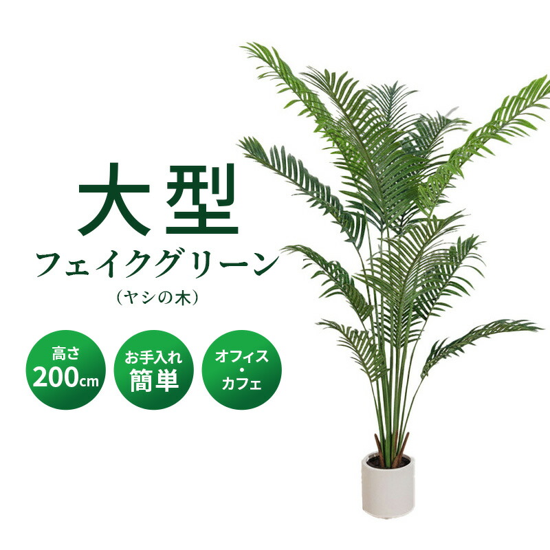 2026年6月百貨店SALE