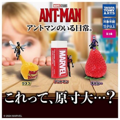 タカラトミーアーツ アントマンのいる日常。 × 全3種セット フルコンプ ガチャガチャ カプセルトイ画像