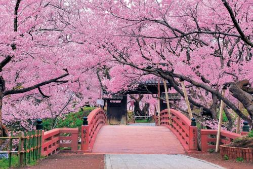 エポック社 1000ピース ジグソーパズル 日本風景 天下一の桜 高遠城址ー長野 (50×75cm) 10-805 のり付き ヘラ付き 点数券付き EPOCH
