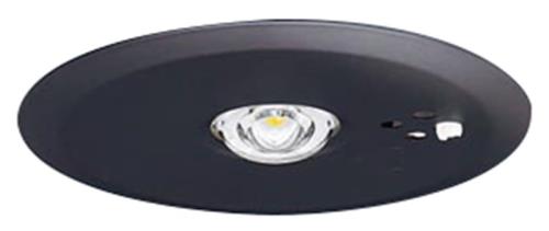 パナソニック(Panasonic) 上昇限度埋込型 LED 昼白いこと 非常用点火装置物の具 30分間手合い LED 低上昇限度用 ～3m 自分自身読み合わせる取り替えっこ付 遠隔操作自分自身読み合わせる役立つこと付 埋込穴 φ100 NNFB91645C