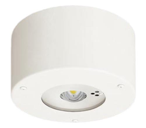 パナソニック(Panasonic) 天井直付型 LED 昼白色 非常用照明器具 30分間タイプ LED 低天井用 ～3m 防湿型 防雨型 自己点検スイッチ付 リモコン自己点検機能付 NNFB91105C