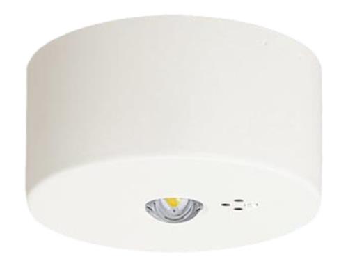 パナソニック(Panasonic) 天井直付型 LED 昼白色 非常用照明器具 30分間タイプ LED 高天井用 ～10m 自己点検スイッチ付 リモコン自己点検機能付 NNFB93007C