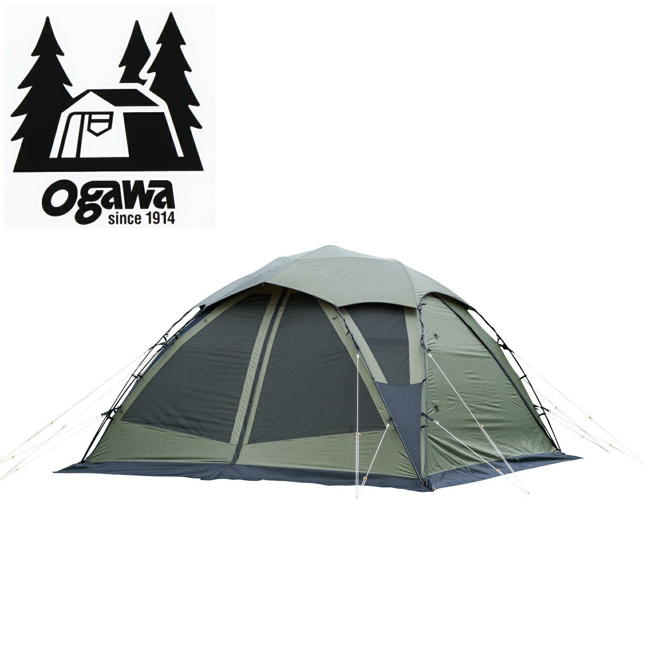 楽天市場】ogawa ( オガワ ) ロッジシェルターUL 【 2025NEW