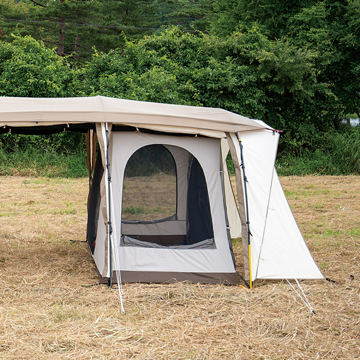 【A.I】オガワ　アポロン（カマザシキ付） アポロン / ogawa ONLINE STORE