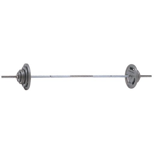 バーベルプレートセット トーエイライト H-7194 バーベルプレートセット21.5kg (TOL)【36CE】