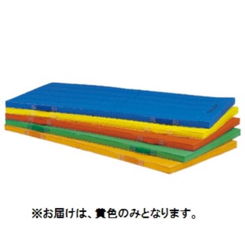 カラーマット トーエイライト T-1893Y エコカラーコンビネーションマット5cm厚 120×240×5cm 黄 (TOL)【36CE】