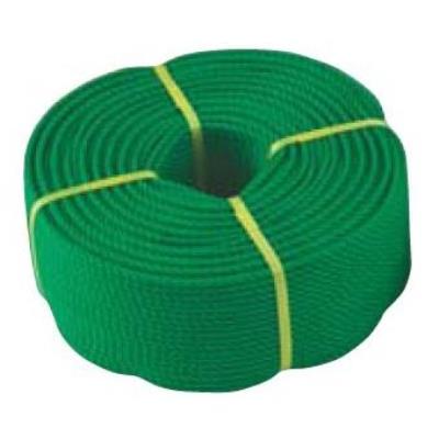 ロープ 三和体育 SANWA TAIKU S-2880 グランドロープ6-200 緑 (SWT)【36CE】