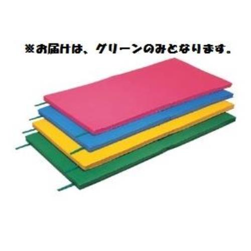 カラーマット 三和体育 SANWA TAIKU S-9219 軽量2ツ折カラーマット スベリ止付 90×180×4 （グリーン） (SWT)【36CE】