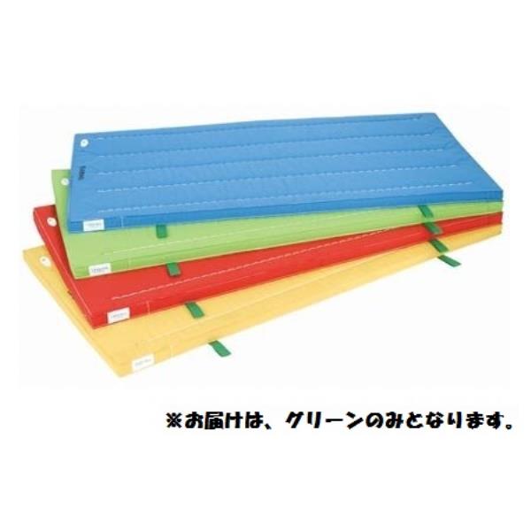カラーマット 三和体育 SANWA TAIKU S-9851 室内用抗菌カラ-マット （グリ-ン） 90×240×5 (SWT)【36CE】 30,570円