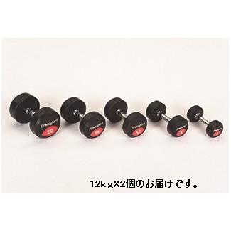 ダンベル エバニュー ETB475 ラバーダンベル 12ｋｇ (ENW)【36CE】｜Field Boss 店