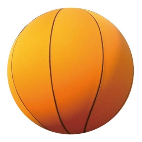 LIFETIME BIGBALL TB-36 バスケットボール LIFETIME BIGBALL TB-36 バスケットボール