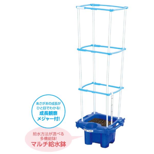マキアージュ ドラマティックスキンセンサーベース NEO