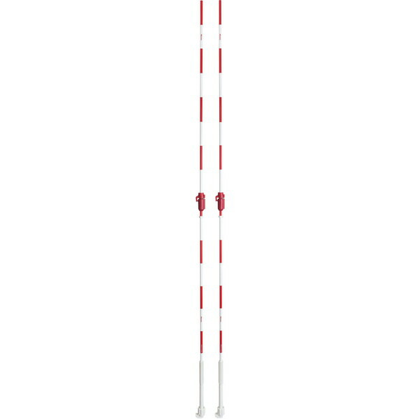 楽天市場】MIKASA AC-AN220 JVA公認サイドバンド付き インドア