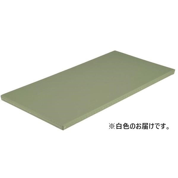柔道用畳 たたみ 柔道 EKR062-90 全柔連公認畳 関東間 白 送料ランク【G】【ENW】【36CE】 23,498円