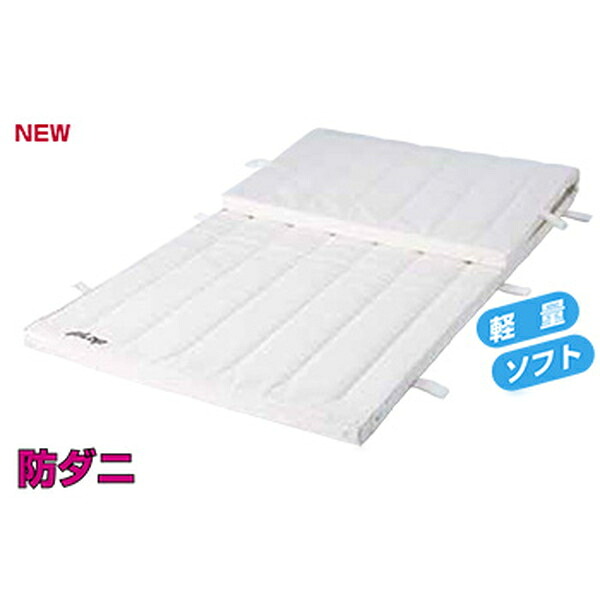 マット 防ダニ マット運動 F316 防ダニマット(オール合成スポンジ＋ダニサルシート入り)6cm厚仕上（スベラーズなし） 【NKJ】【36CE】