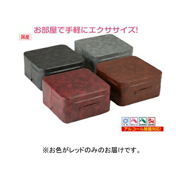 Ｄｒ.ソファー エクササイズ ソファー F6221R Ｄｒ.ソファークラシック レッド 【NKJ】【36CE】